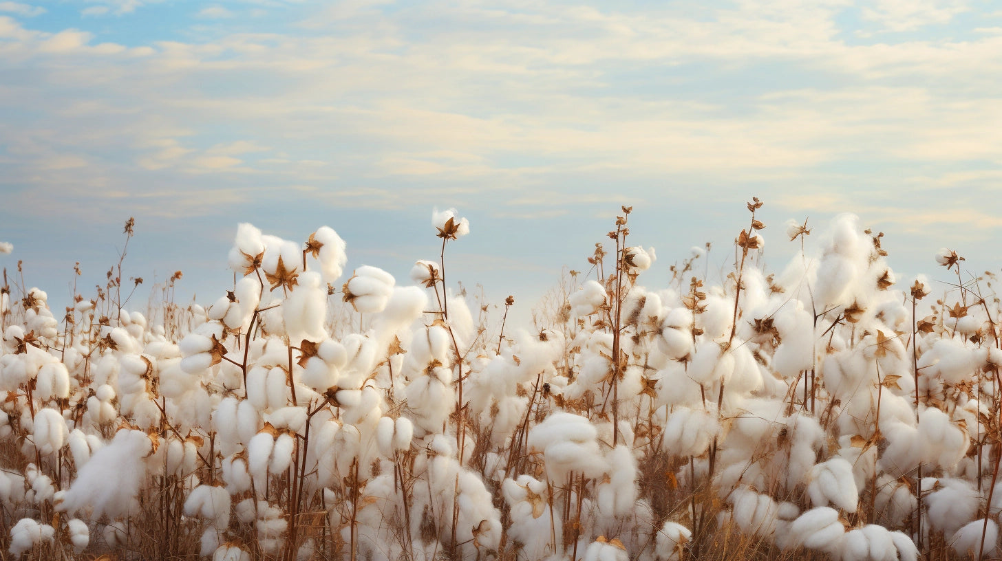 An array of bespoke menswear from Westwood Hart, showcasing sustainable and stylish clothing options.