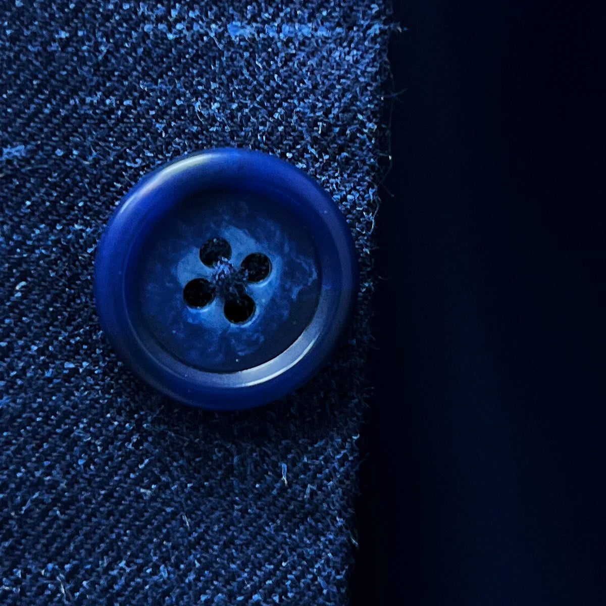 Macro shot of navy horn button detail showing natural variations